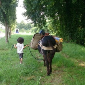 Photo : St&eacute;phane Blaise